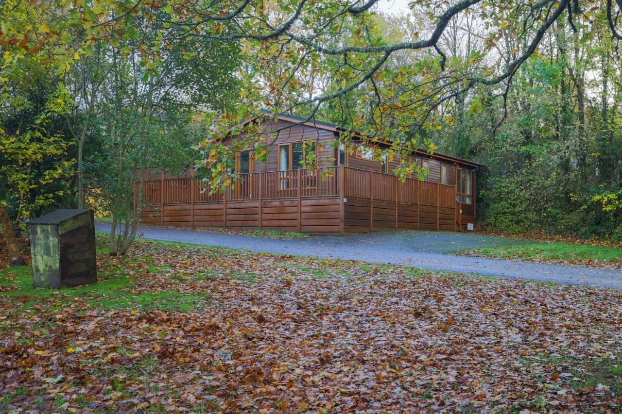Charming Copse Corner Lodge - Spa Resort - Devon Chudleigh 外观 照片